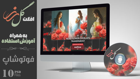 افکت فتوشاپ گل رز بارداری 2501